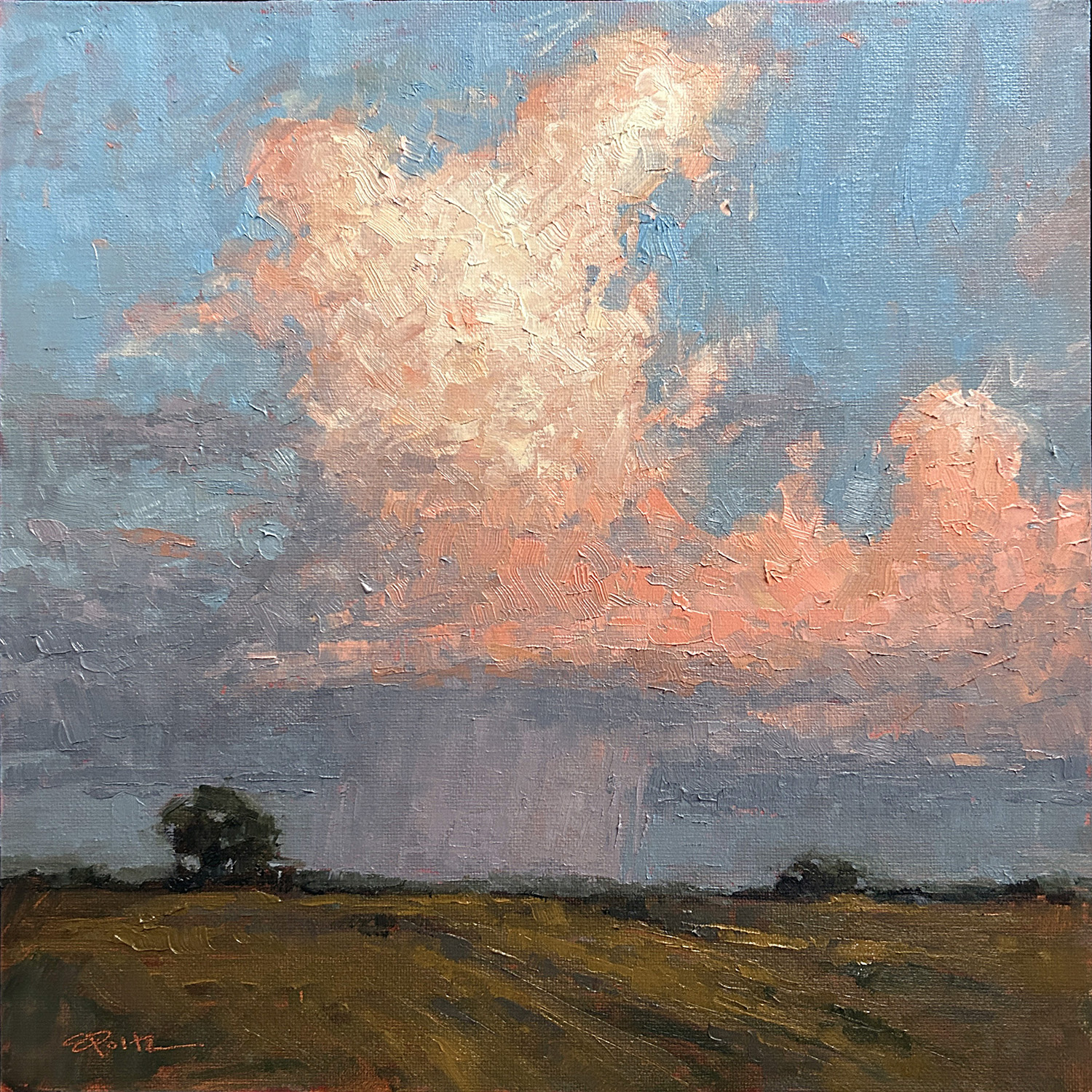 Summer Evening   IMG_3228